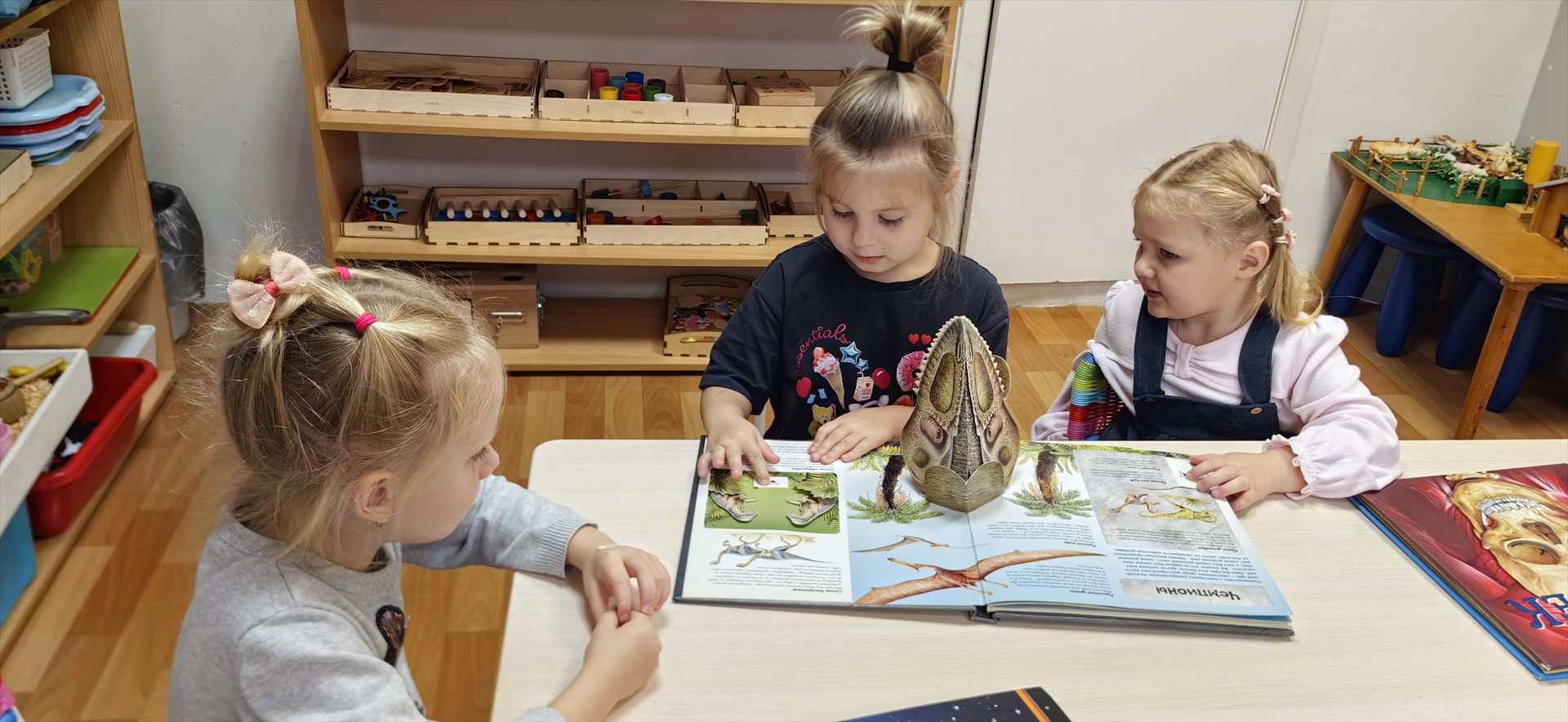 Дети занимаются по книге вместе с педагогом